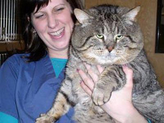 Fat Cat Gets Stuck In Doggie Door