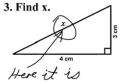 Smart-Ass Student Exam Answer