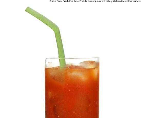 Product of the Day: Genetically Engineered Hollow Celery Straw