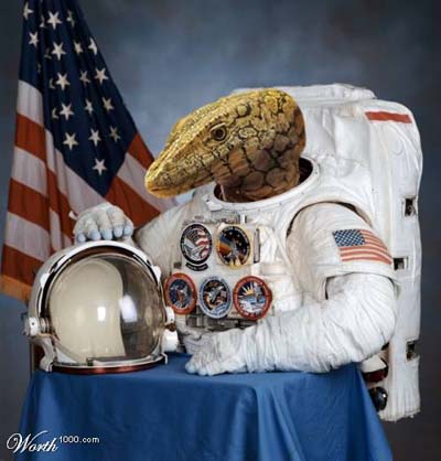 lizardastronaut lizardastronaut