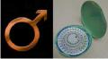 Top 10 Slogans for the New Male Birth Control Pill
