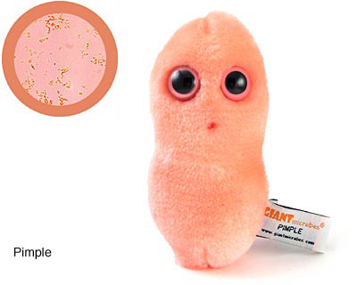 pimple pimple
