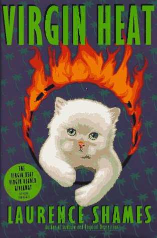 virginheat virginheat