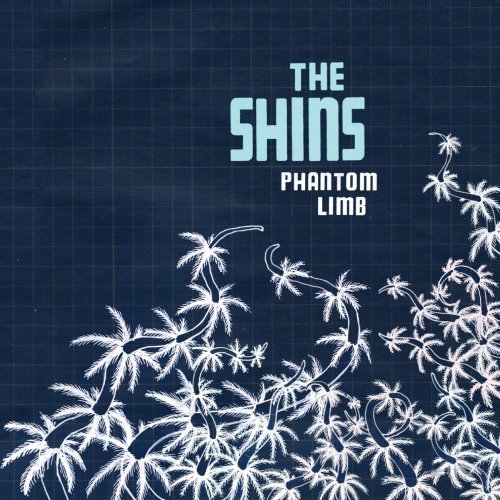 Music Video: The Shins, "Phantom Limb"