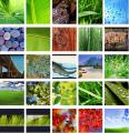 Download of the Day: Vista Wallpapers