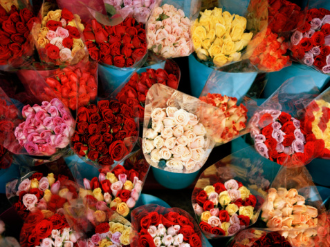 Introducing the Yum Market