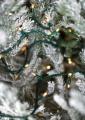 Come Party With Me: WInter Wonderland Weekend Getaway - Decorations