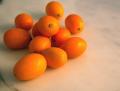 Kumquat