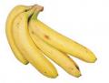 Secret Ingredient: Green Onion Recap + Bananas are Next!