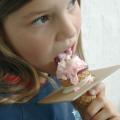 Vacuum Bag Ice Cream Holder