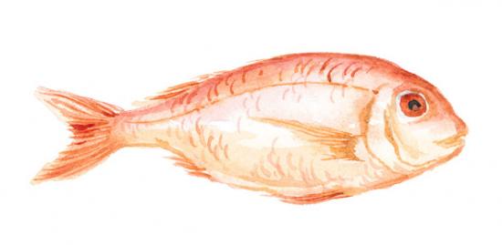 Sunday Dinner: Poached Red Snapper with Orange Sauce