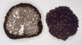 Truffle