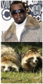 Fab Flash:  The Truth Behind Faux Fur