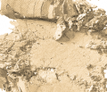 Back to Basics: The Best Champagne Eye Shadows