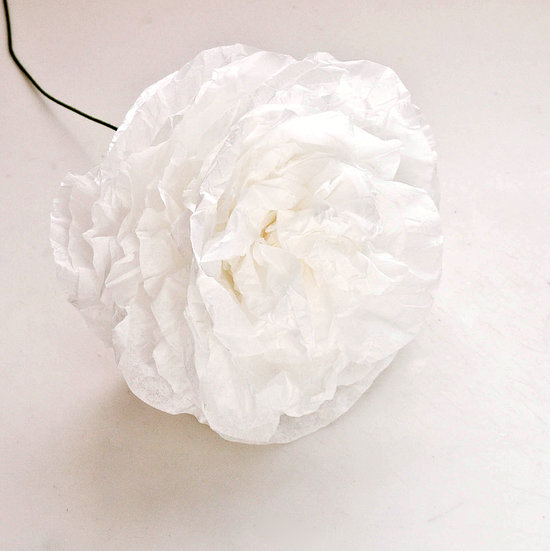 tall coffee filters